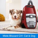 Der Miele CX1 Cat & Dog PowerLine befreit Hart- und Teppichböden von Tierhaaren.