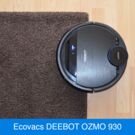 Der OZMO 930 reinigt Teppiche mit einer Höhe von bis zu 1,5 Zentimetern.