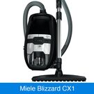 Der Miele Blizzard CX1 Comfort EcoLine im Vergleich