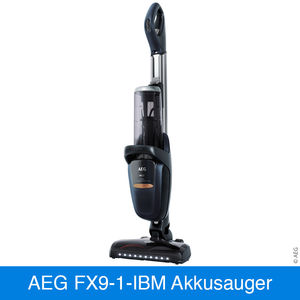 AEG FX9 Akku-Handstaubsauger im Vergleich